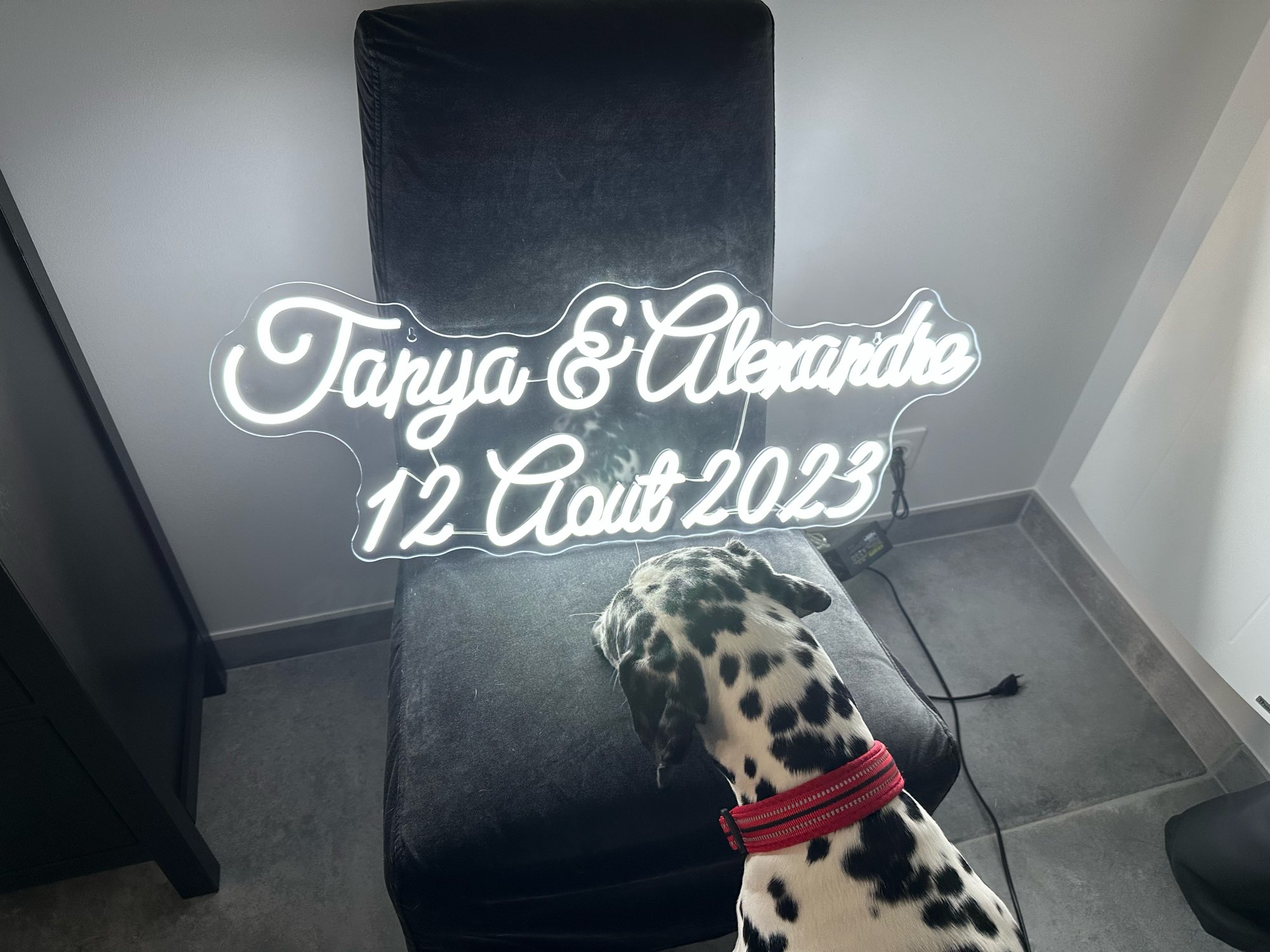 Ev ofis odası dekorasyon için  - Home Decor Logo Design incelemesi ve fiyatı